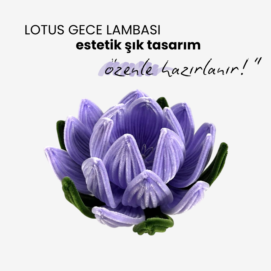 Lotus Gece Lambası