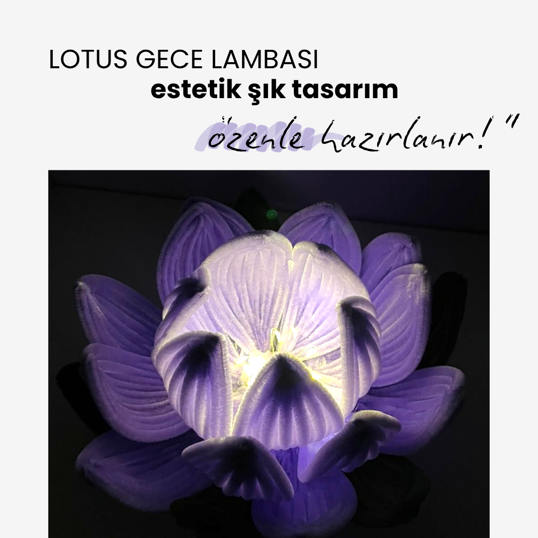 Lotus Gece Lambası