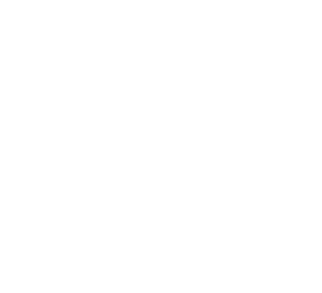 BaVITA